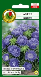 nasiona-astrow-aster-karlowy-niebieski-08-g-pnos-nasiona