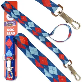 smycz-dla-malego-sredniego-psa-tasmowa-treningowa-spacerowa-dla-szczeniaka