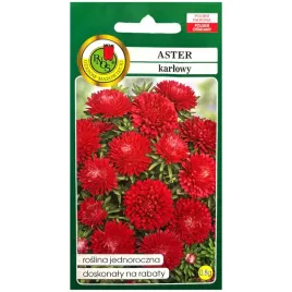 aster-karlowy-czerwony-nasiona-08g-pnos-nasiona
