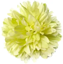 kwiat-chryzantema-glowka-sr-16-cm-sztuczne-kwiaty