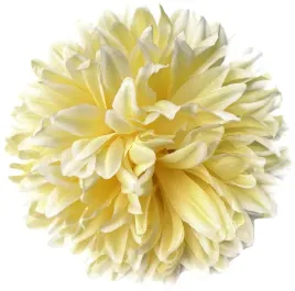 kwiat-chryzantema-glowka-sr-16-cm-sztuczne-kwiaty