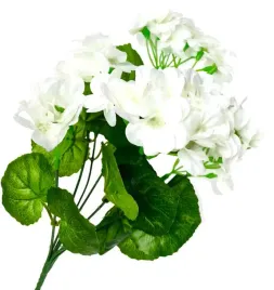 bukiet-pelargonia-7-galazek-bialych-pelargonii-do-wazonu-sztuczne-kwiaty