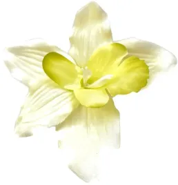 storczyk-x6-glowek-do-stroikow-sztuczne-kwiaty