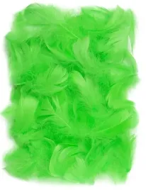 zielone-piorka-dekoracyjne-ozdobne-10-gram-100-szt-5-12-cm-ozdoba-decoupage