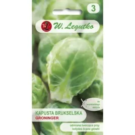 legutko-kapusta-brukselka-groninger-1g-nasiona