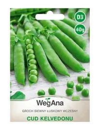 groch-siewny-luskowy-cud-kelvedonu-40g-wegana-nasiona
