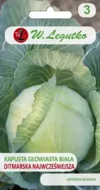 kapusta-biala-ditmarska-najwczesniejsza-legutko-nasiona