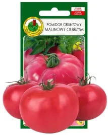 pomidor-malinowy-duzy-smaczny-nasiona-bez-gmo
