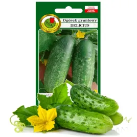 ogorek-delicius-nasiona-plenny-doskonaly-do-salatek-wyjatkowy-smak-5g