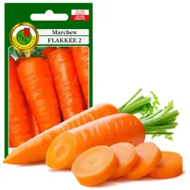 marchew-jadalna-flakkee-2-na-sok-nasiona-bez-gmo