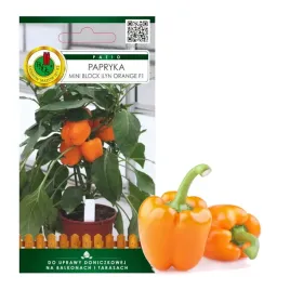 papryka-mini-block-ilyn-orange-na-taras-balkon-nasiona-bez-gmo