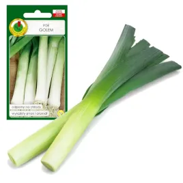 por-golem-wczesny-aromat-wyrazisty-nasiona-bez-gmo