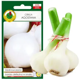 cebula-agostana-delikatna-wczesna-nasiona-bez-gmo