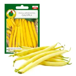 fasola-szparagowa-karlowa-galopka-nasiona-bez-gmo