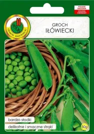 groch-cukrowy-ilowiecki-wczesny-nasiona-bez-gmo