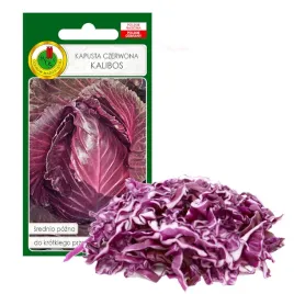 kapusta-czerwona-kalibos-na-surowki-nasiona-bez-gmo