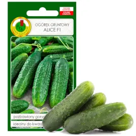ogorek-gruntowy-mieszaniec-alice-f1-nasiona-bez-gmo-2g
