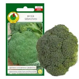 brokul-sebastian-wczesny-kremy-nasiona-bez-gmo
