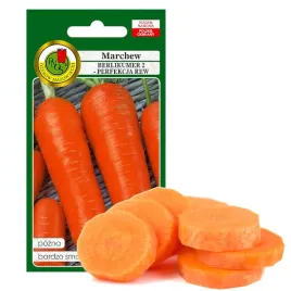 marchew-berlikumer-pozna-smaczna-nasiona-bez-gmo