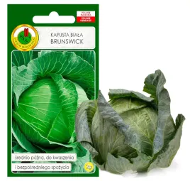 kapusta-biala-brunswick-kwaszenia-nasiona-bez-gmo