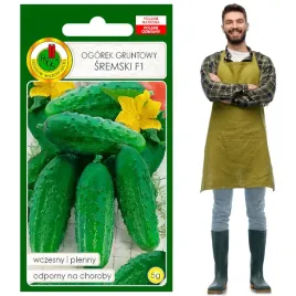 ogorek-gruntowy-sremski-wczesny-plenny-odporny-do-kiszenia-i-konserwowania