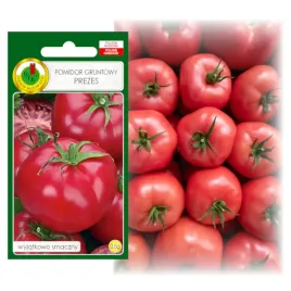 pomidor-prezes-malinowy-grunt-bardzo-plenny-wyjatkowo-smaczny-nasiona-05g