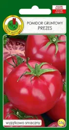 pomidor-prezes-malinowy-grunt-bardzo-plenny-wyjatkowo-smaczny-nasiona-05g