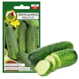 ogorek-konserwowy-wczesny-nasiona-bez-gmo-polan-5g