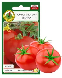 pomidor-gruntowy-betalux-nasiona-bez-gmo