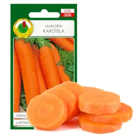 marchew-karotela-duzo-witamin-i-karotenu-idealna-na-soki-nasiona-5g