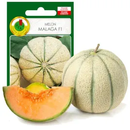 melon-malaga-f1-wczesny-smaczny-nasiona-bez-gmo-1g