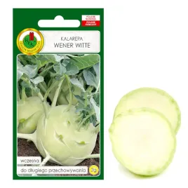 kalarepa-wener-witte-wczesna-nasiona-bez-gmo