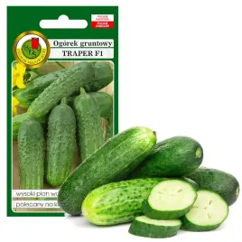 ogorek-gruntowy-traper-wczesny-nasiona-bez-gmo-5g