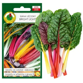 burak-lisciowy-bright-lights-dekoracja-nasiona-bez-gmo