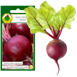 burak-cwiklowy-bona-wczesny-nasiona-bez-gmo
