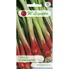 cebula-siedmiolatka-red-toga-legutko-2g-nasiona