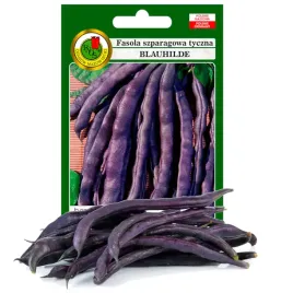 fasola-szparagowa-blauhilde-bezwloknista-bez-gmo