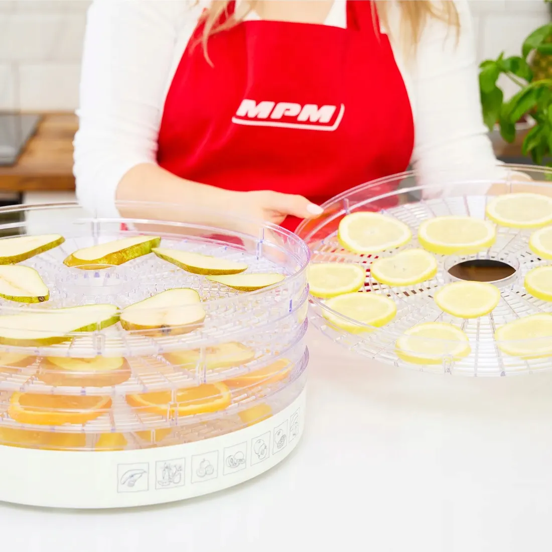 suszarka-do-grzybow-spozywcza-mpm-msg-02