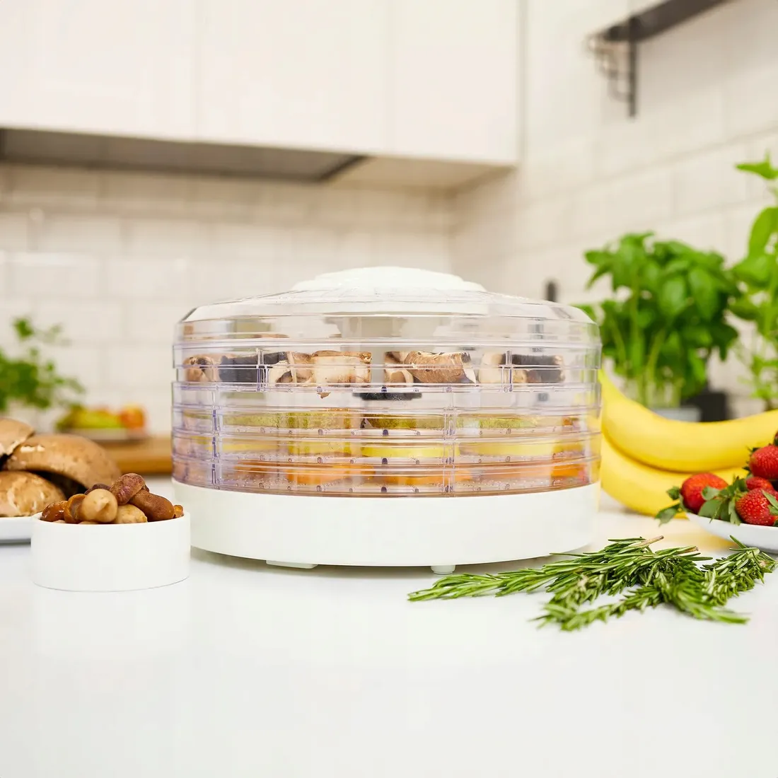 suszarka-do-grzybow-spozywcza-mpm-msg-02