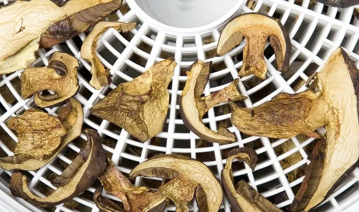 suszarka-do-grzybow-spozywcza-mpm-msg-02-glebokosc-produktu-34-cm