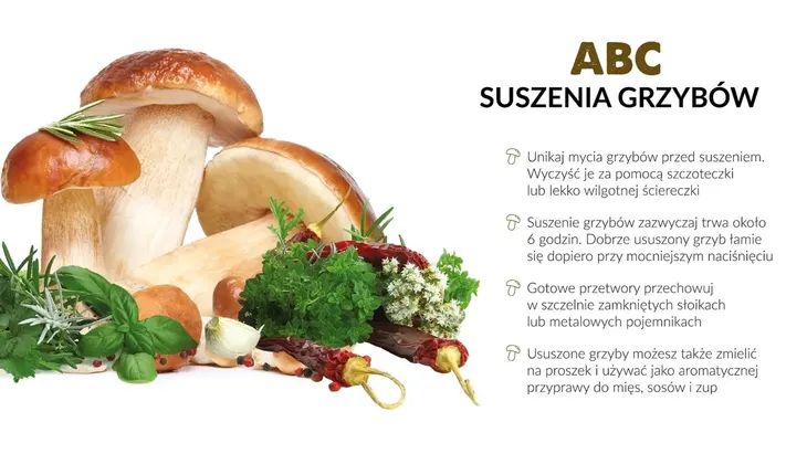 suszarka-do-grzybow-msg-06-model-msg-06