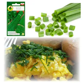 szczypiorek-prazska-wieloletni-wyrazisty-smak-duzo-wit-c-dobrze-zimuje-2g