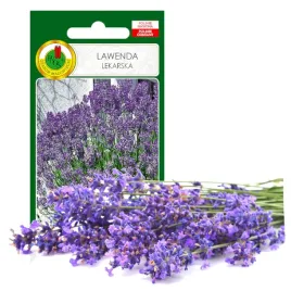 lawenda-lekarska-ziola-nasiona-ziol-bez-gmo