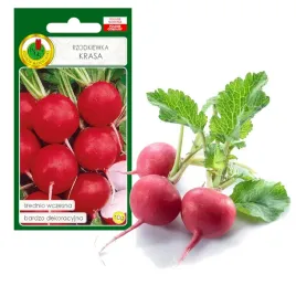 rzodkiewka-krasa-dekoracyjna-nasiona-bez-gmo