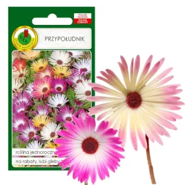 przypoludnik-mieszany-na-rabaty-kwiat-nasiona