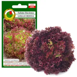salata-lisciowa-kedzierzawa-nasiona-lollo-rossa-1g