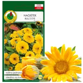 nagietek-bull-s-eye-na-kwiaty-ciete-kwiat-nasiona