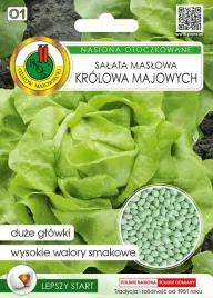 salata-krolowa-majowych-nasiona-otoczkowane-100szt-nasiona