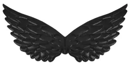 skrzydelka-aniola-czarne-skrzydla-diabla-44x22cm