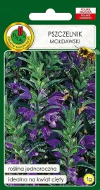 pszczelnik-moldawski-na-kwiaty-cieta-dobry-dla-pszczol-kwiat-nasiona